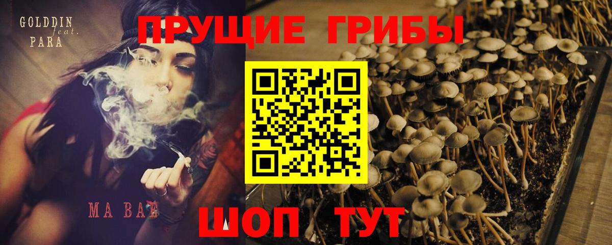 Галлюциногенные грибы MAGIC MUSHROOMS  Вход с VPN  Псилоцибиновые грибы GOLDEN TEACHER  Верхняя Пышма 